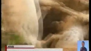 Причины массовой гибели сайгаков в мае 2015 года   не установлены