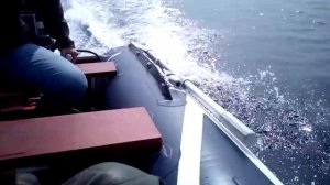 лодочные моторы тест лодочного мотора Тохацу тест Tohatsu