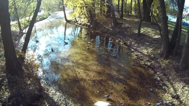 Кузьминский парк. Прогулка, обзор смотреть онлайн