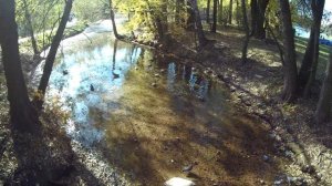 Кузьминский парк. Прогулка, обзор