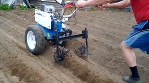 Боронование картошки ёжиками