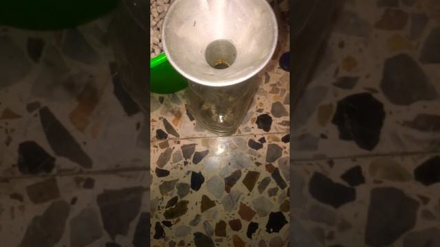 Гидрапонная установка ,своими руками дома , бюджетный вариант , стоимость 8€  #2020 смотреть онлайн