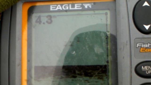 F.Тур: "Хищник - 2010" смотреть онлайн