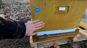 Сравнение ульев Lyson и Нижегородец после двух сезонов работы