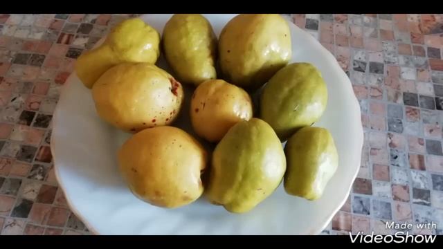 Айва Японская Плоды/Японская Айва полезные свойства./Северный лимон!