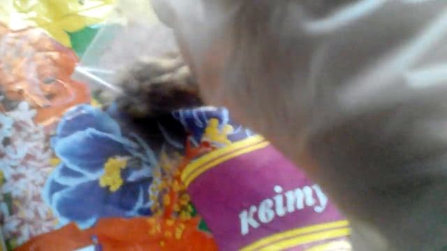 Как посадить Ахименес (ризомы) после зимнего покоя. смотреть онлайн