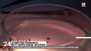 В Крыму началось раннее распространение клещей