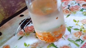 "КРАСНАЯ ИКРА" ИЗ АГАР АГАРА/CAVIAR FROM AGAR AGAR/ @ СЛАДКОЕ НАСТРОЕНИЕ