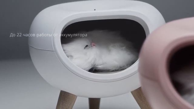 Необычный ночник с кошечкой
