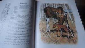 М. Соколов-Микитов - Год в лесу. Читает Т.А. Соколова. Библиотека мкрн. Луговая