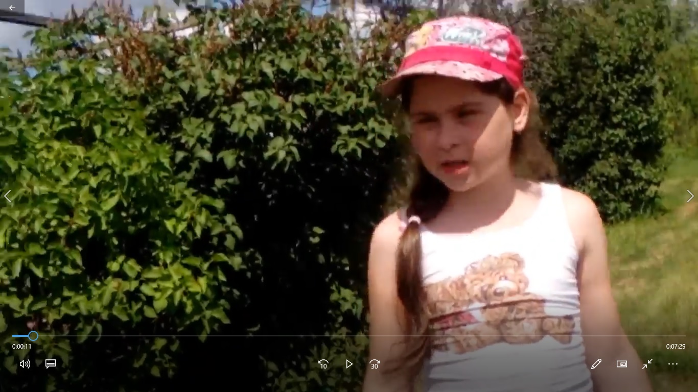 поиск.mp4