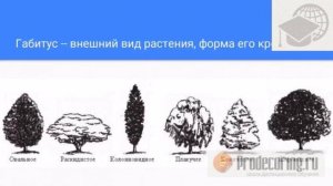 Ландшафтный дизайн! Красивый сад своими руками! Садовый участок!!