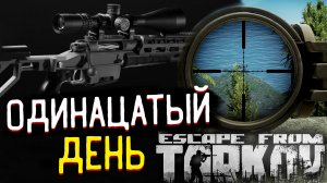 На что Способен Снайпер? Орсис - 5000 ? "Одиннадцатый" День Текущего Сезона После Вайпа