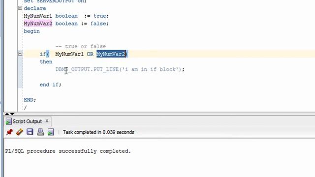 PLSQL Tutorial#9 Let's Play With Logical Operator