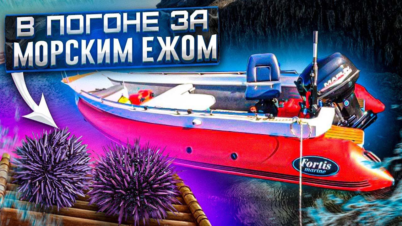 за морским Ежом на Fortis 460Z