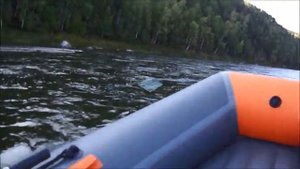 Защита винта на Тохатсу 9,8. Лодка РОДЖЕР ТРОФЕЙ-330 (продана). Винт СОЛАС 8.