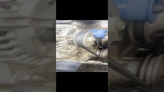 IMG_8303 смотреть онлайн