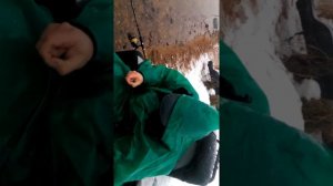 Десногорск, рыбалка на фидер на Трояновском сбросе 3