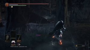 Dark Souls 3. #39. Сад Снедаемого Короля. Оцейрос, Снедаемый Король