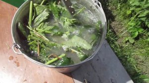 Как делать Удобрение из Крапивы с добавлением дрожжей