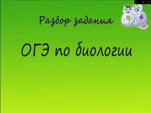 Биология. Разбор 15 заданий ОГЭ по биологии. Пищевая цепь