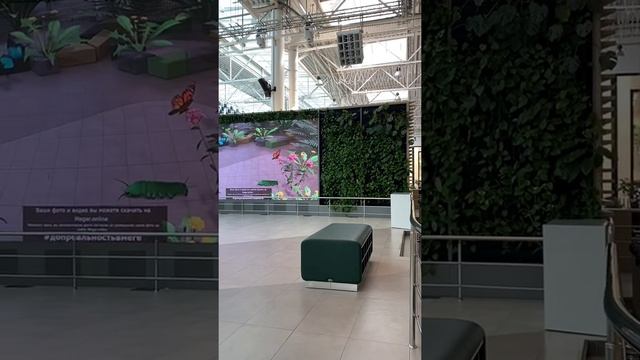 Музыкальный потолок. Мега - Адыгея. смотреть онлайн