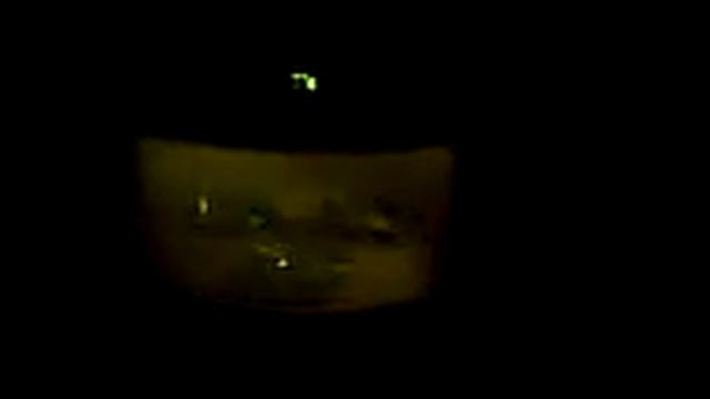 CD´s in Microwave. Do NOT do it!!!! смотреть онлайн