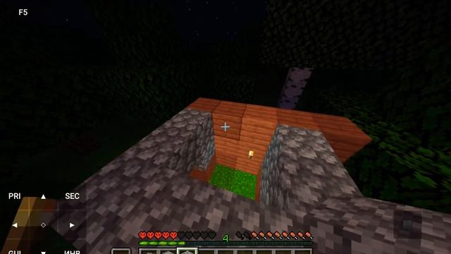 играю в майнкрафт Java пошол в ад? смотреть онлайн