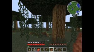 Выживание в minecraft №-5 (железный сет)