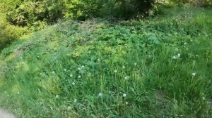 КАК УЕХАТЬ ОТ ДПС НА ПИТБАЙКЕ/МЕНЯ ПОЙМАЛИ ДПС/КАК ЗАБРАТЬ ПИТБАЙК/ПОКАТУШКА/ #стант #питбайк #ktm