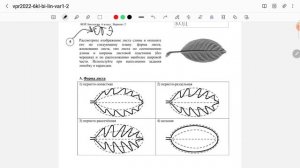 ВПР по биологии 6 класс (Линейная программа)