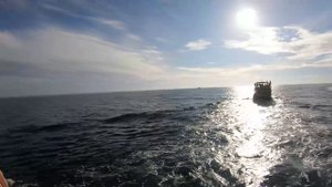 Охота на китов, Мирисса, Шри-Ланка 2022