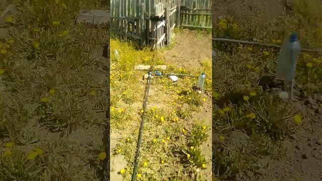 Волшебная дача смотреть онлайн