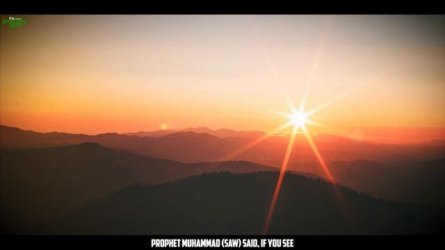 WHAT DOES SABR REALLY MEAN? - BEAUTIFUL EXPLANATION