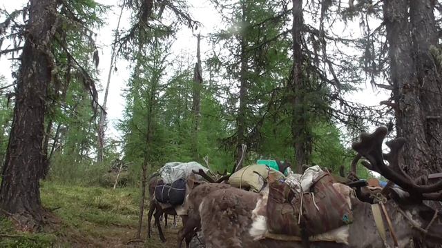 Староверы Томской области Таежные на алёнке