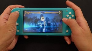 Tekken 8 Demo On Nintendo Switch Lite
