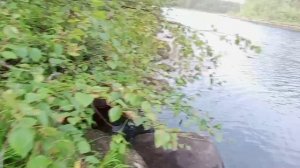 НА ЧТО Я ЛОВЛЮ ЩУКУ И ОКУНЯ / УЛОВ 100%