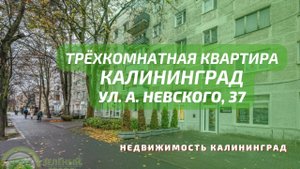 Трёхкомнатная квартира ул А Невского 37 | Недвижимость Калининград