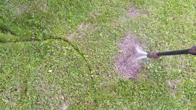 Кёрхер против муравьёв. смотреть онлайн