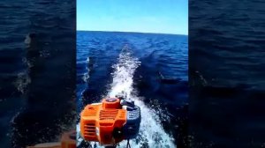 Лодочный мотор Карвер  3.8S скорость 18 км на надувной лодке пвх