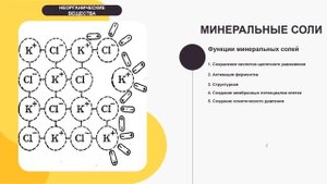Химические вещества. Полимеры. Мономеры. Марафон по биологии ЕГЭ 2022.