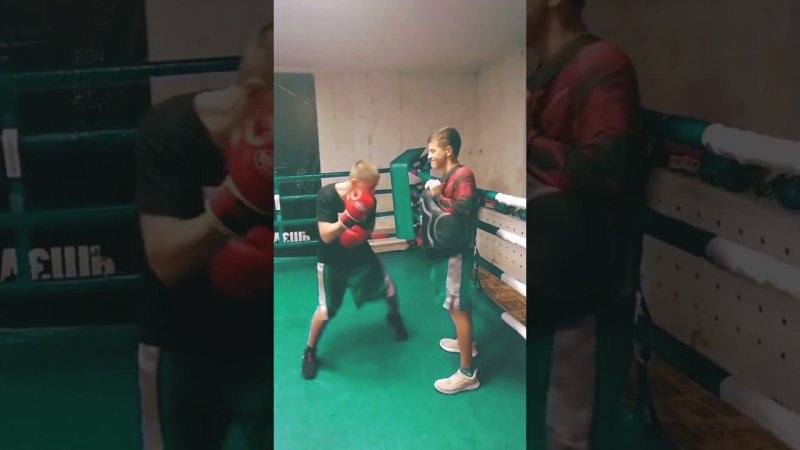#shorts #boxing