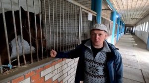 Хреновской коне завод!