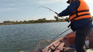 Рыбалка в Рогожкино 1.10.2023г.