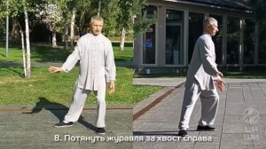 Тайчи 24 формы Ян, Эдуард Гатальский//Taichi 24 forms Yang, Edward Gatalskiy//太极拳