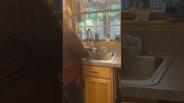 Dishwasher Tip - Clean that filter