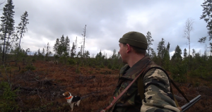 Потерял Тумана,зацепил лосей.Добыл на суп.Пулька на стажировке...