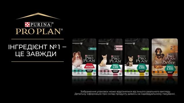PURINA® PRO PLAN® - високоякісне харчування для собак. смотреть онлайн