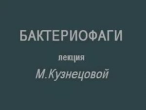 Кто такие бактериофаги и от каких конкретно бактерий они защищают
