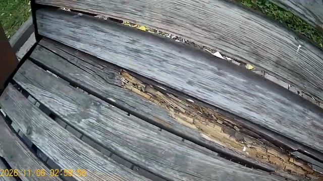 лавочки згнили алея для молодоженов полысаево бордаг смотреть онлайн